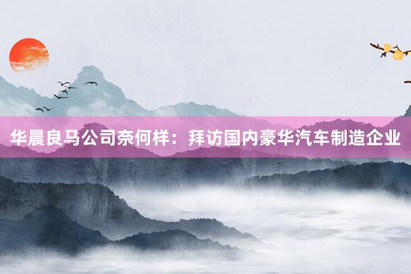 华晨良马公司奈何样：拜访国内豪华汽车制造企业